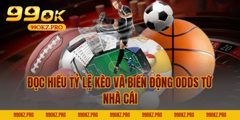 Đọc Hiểu Tỷ Lệ Kèo Và Biến Động Odds Từ Nhà Cái
